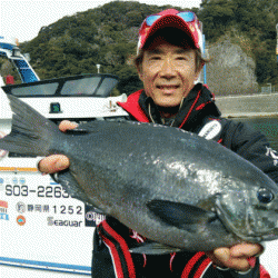 宮島丸 釣果