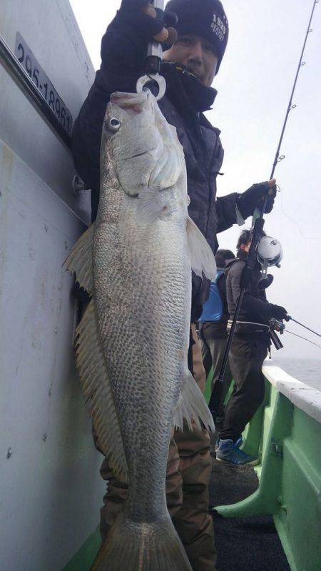 遊漁船 新鋭丸 釣果