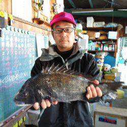 ふじや釣舟店 釣果