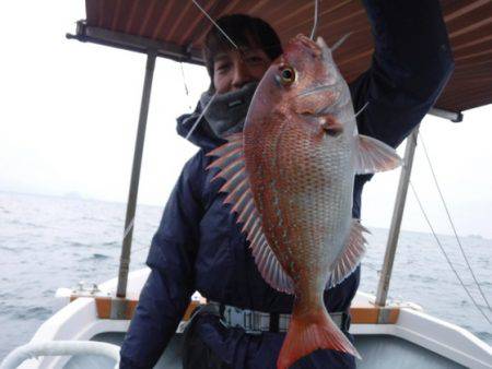 遊漁船 幸友丸 釣果