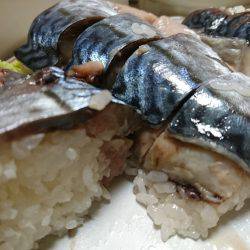 清和丸 釣果