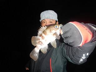 はたの屋 釣果