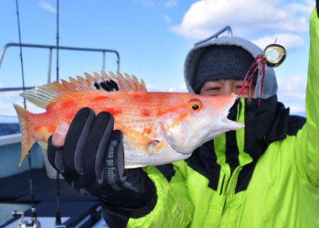 渡船屋たにぐち 釣果