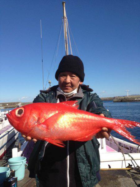 晃山丸 釣果