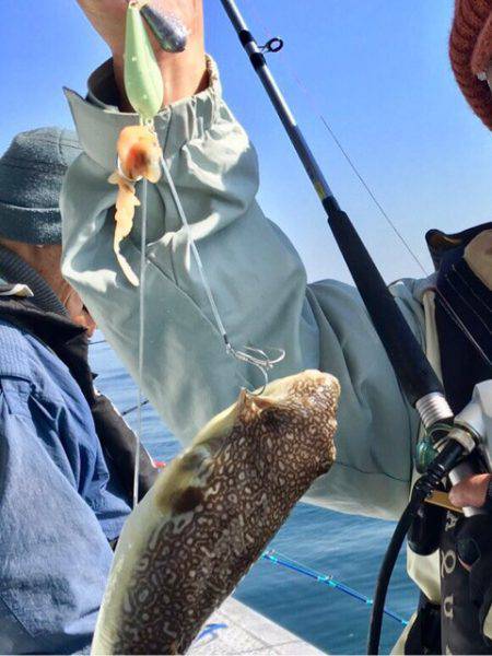 ヤザワ渡船 釣果