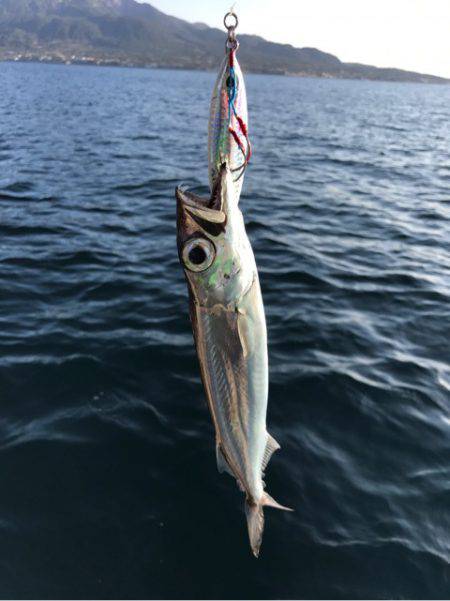 龍神丸（鹿児島） 釣果