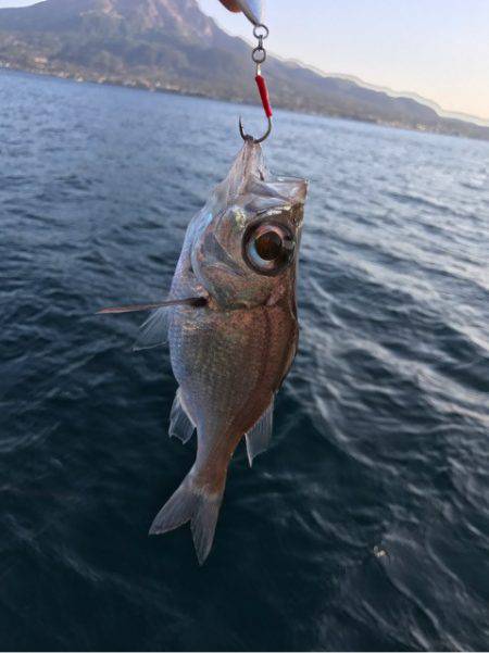 龍神丸（鹿児島） 釣果