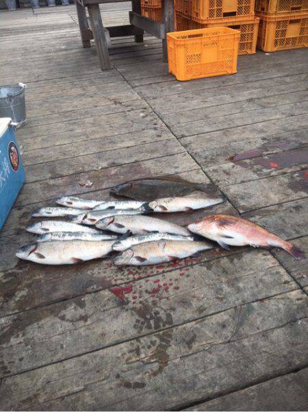 釣り堀水宝 釣果