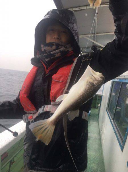 ヤザワ渡船 釣果