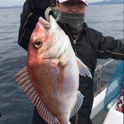 釣鯛洋 釣果