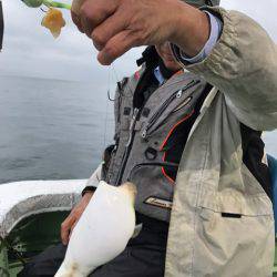 ヤザワ渡船 釣果