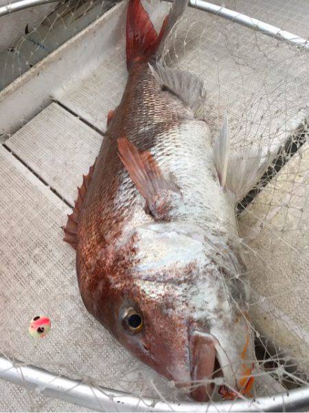 龍神丸（鹿児島） 釣果