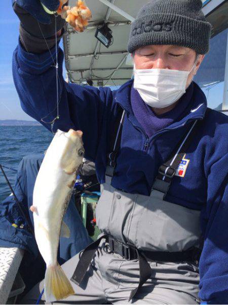 ヤザワ渡船 釣果