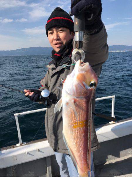 釣鯛洋 釣果