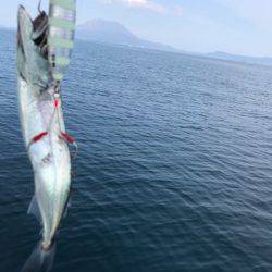 龍神丸（鹿児島） 釣果