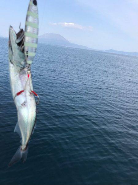 龍神丸（鹿児島） 釣果