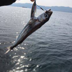 龍神丸（鹿児島） 釣果