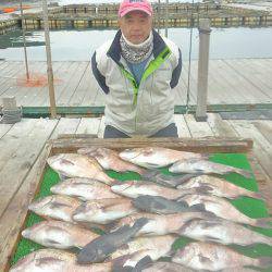 海の釣堀 海恵 釣果