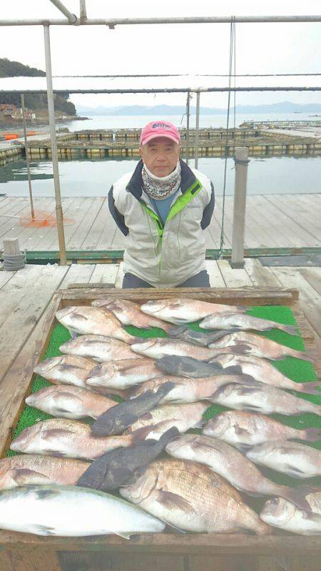 海の釣堀 海恵 釣果