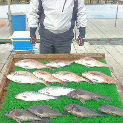 海の釣堀 海恵 釣果