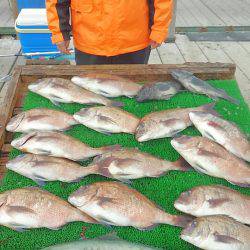 海の釣堀 海恵 釣果