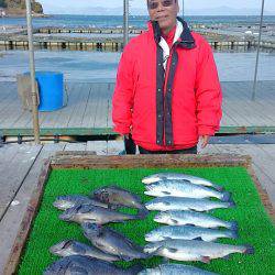 海の釣堀 海恵 釣果