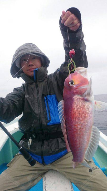 だて丸 釣果