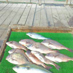 海の釣堀 海恵 釣果