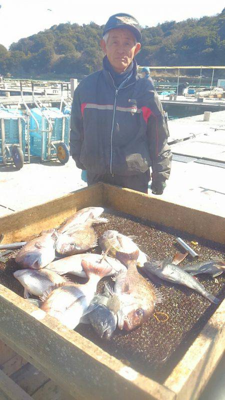 海の釣堀 海恵 釣果