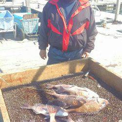 海の釣堀 海恵 釣果