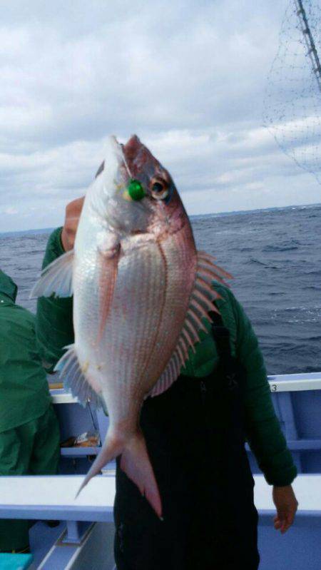 新幸丸 釣果