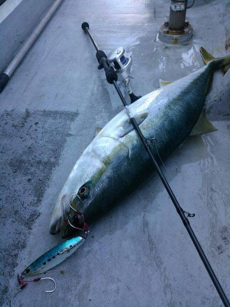 ありもと丸 釣果