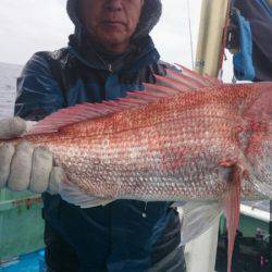 だて丸 釣果