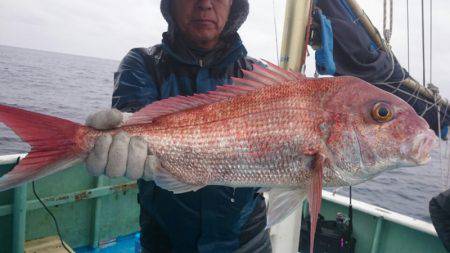 だて丸 釣果