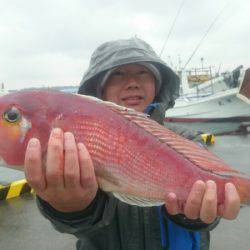 だて丸 釣果