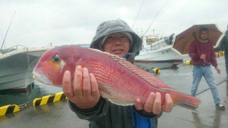 だて丸 釣果