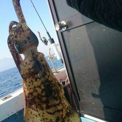 シースナイパー海龍 釣果