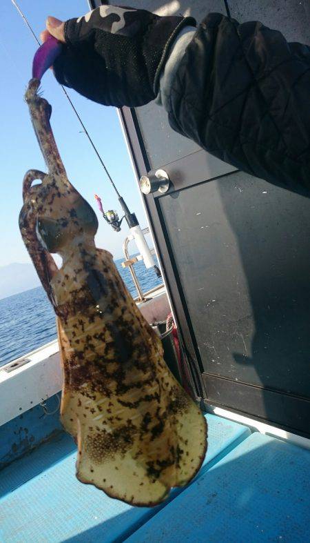 シースナイパー海龍 釣果