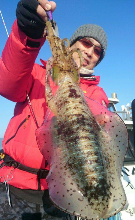 シースナイパー海龍 釣果