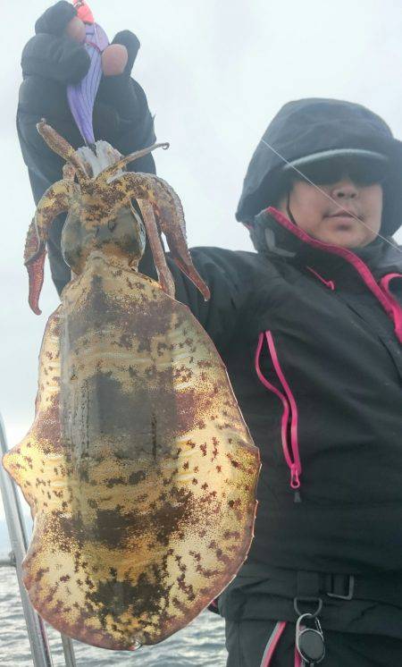 シースナイパー海龍 釣果