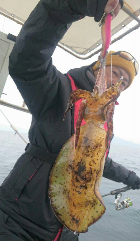 シースナイパー海龍 釣果