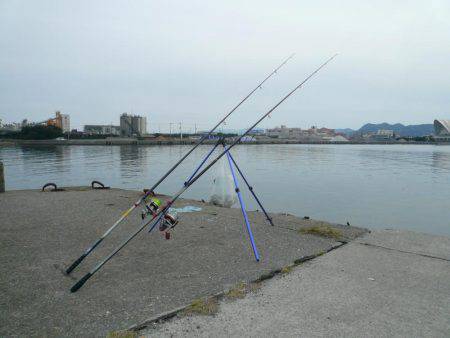 久々のカレイ釣行