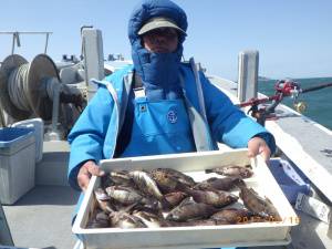 石川丸 釣果