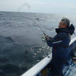 松栄丸 釣果