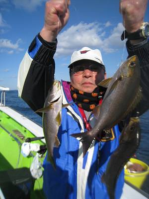 松栄丸 釣果