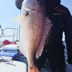 黒ひげ 釣果