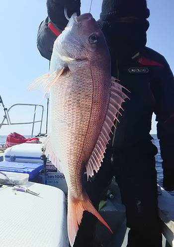 黒ひげ 釣果