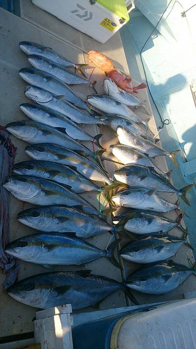 旭星釣りセンター 釣果