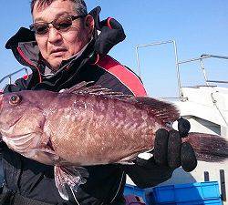 海龍丸（福岡） 釣果