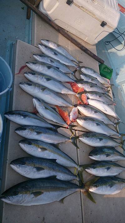 旭星釣りセンター 釣果